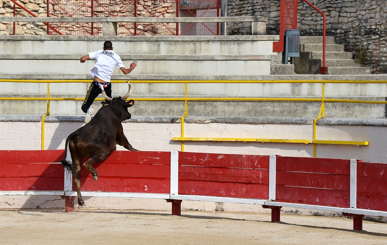 尤其是东道